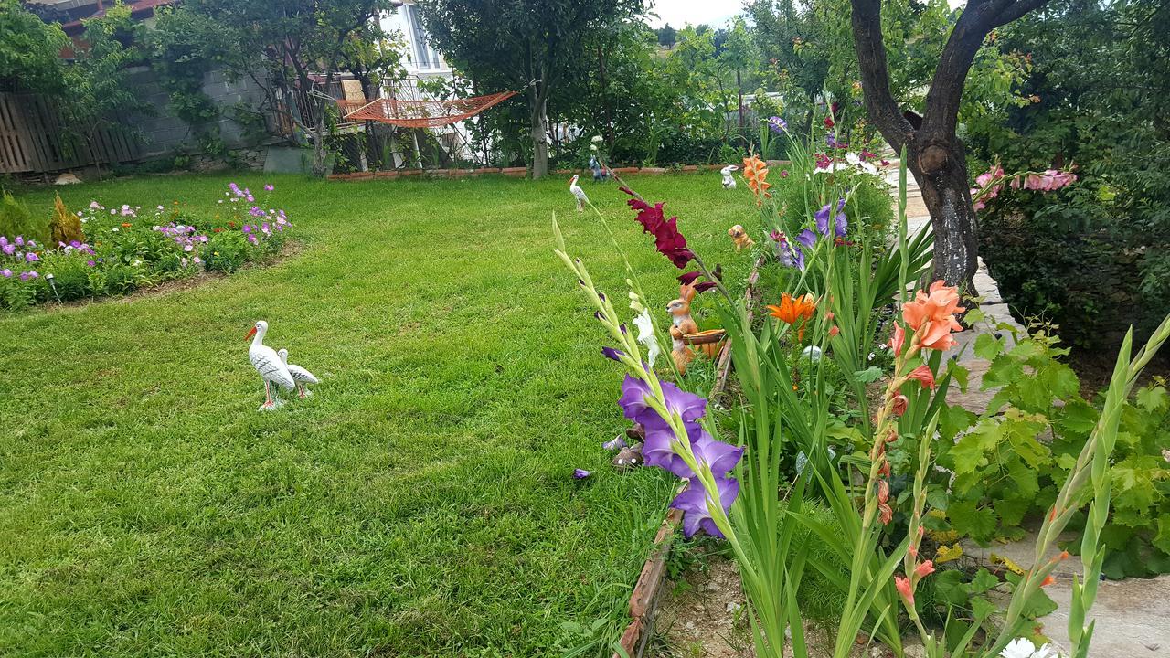 Guest House Agush Kribul Dış mekan fotoğraf