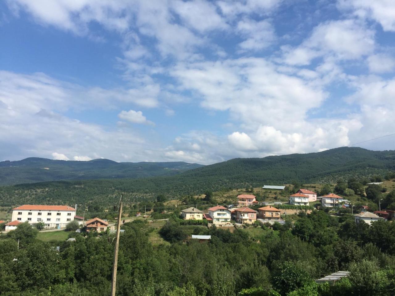 Guest House Agush Kribul Dış mekan fotoğraf