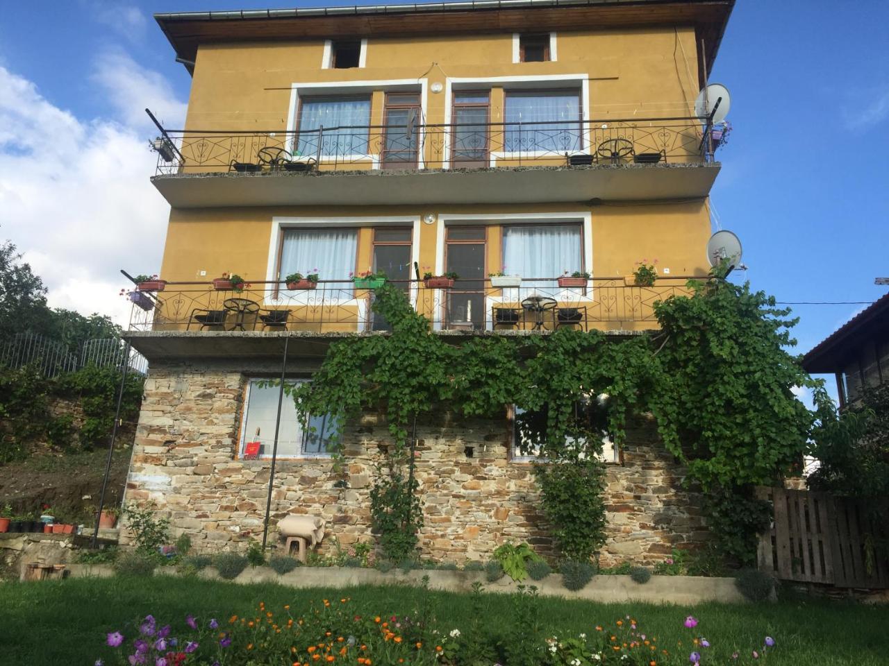Guest House Agush Kribul Dış mekan fotoğraf