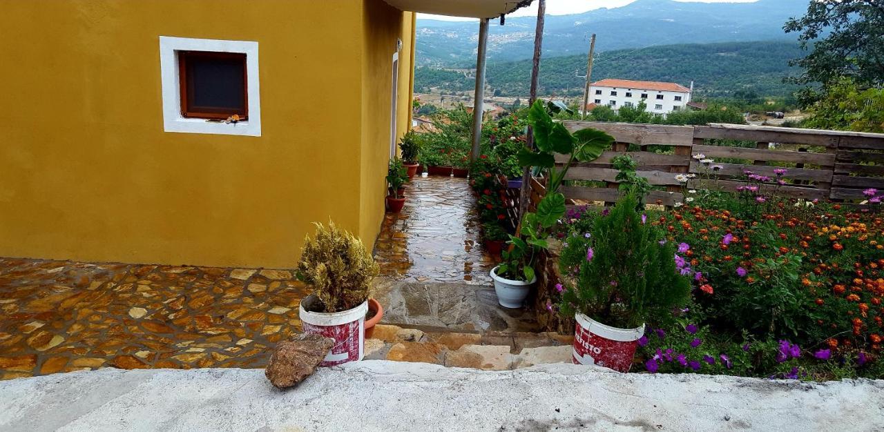 Guest House Agush Kribul Dış mekan fotoğraf