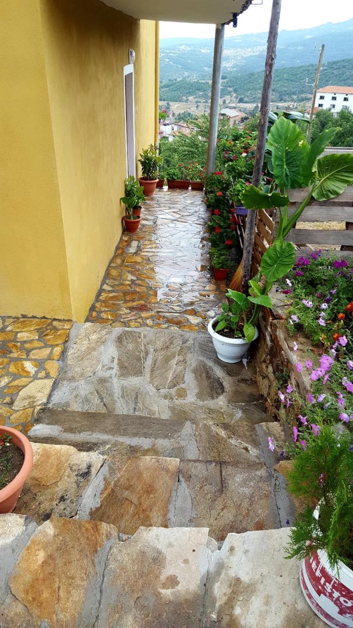 Guest House Agush Kribul Dış mekan fotoğraf