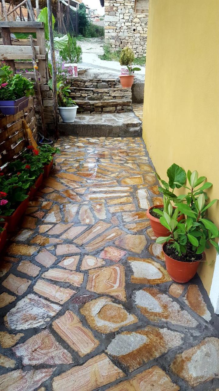 Guest House Agush Kribul Dış mekan fotoğraf