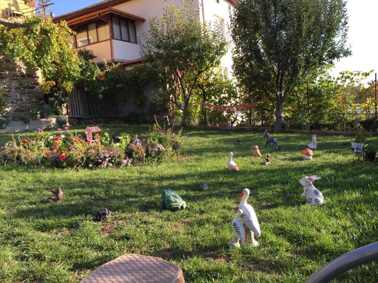 Guest House Agush Kribul Dış mekan fotoğraf