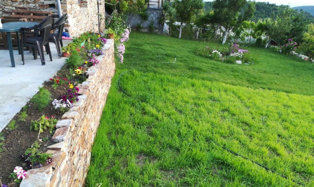Guest House Agush Kribul Dış mekan fotoğraf
