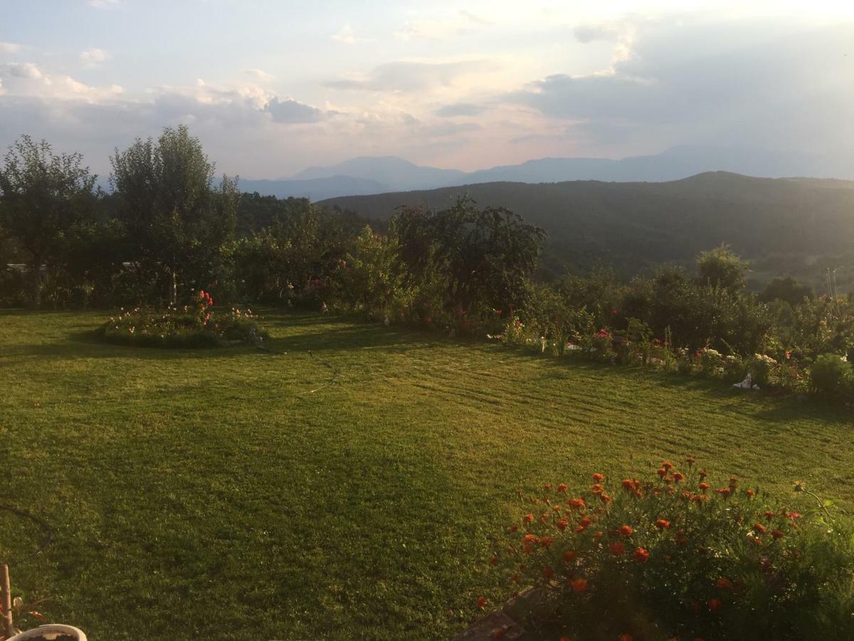 Guest House Agush Kribul Dış mekan fotoğraf